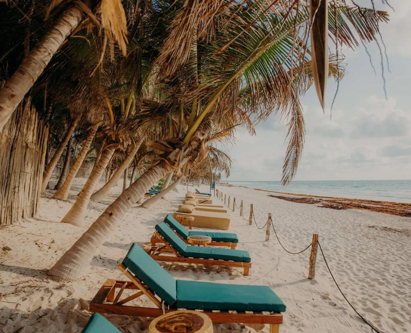 Luxury Villa With Private Pools, Terrace & Rooftop Terrace Tulum 0*,