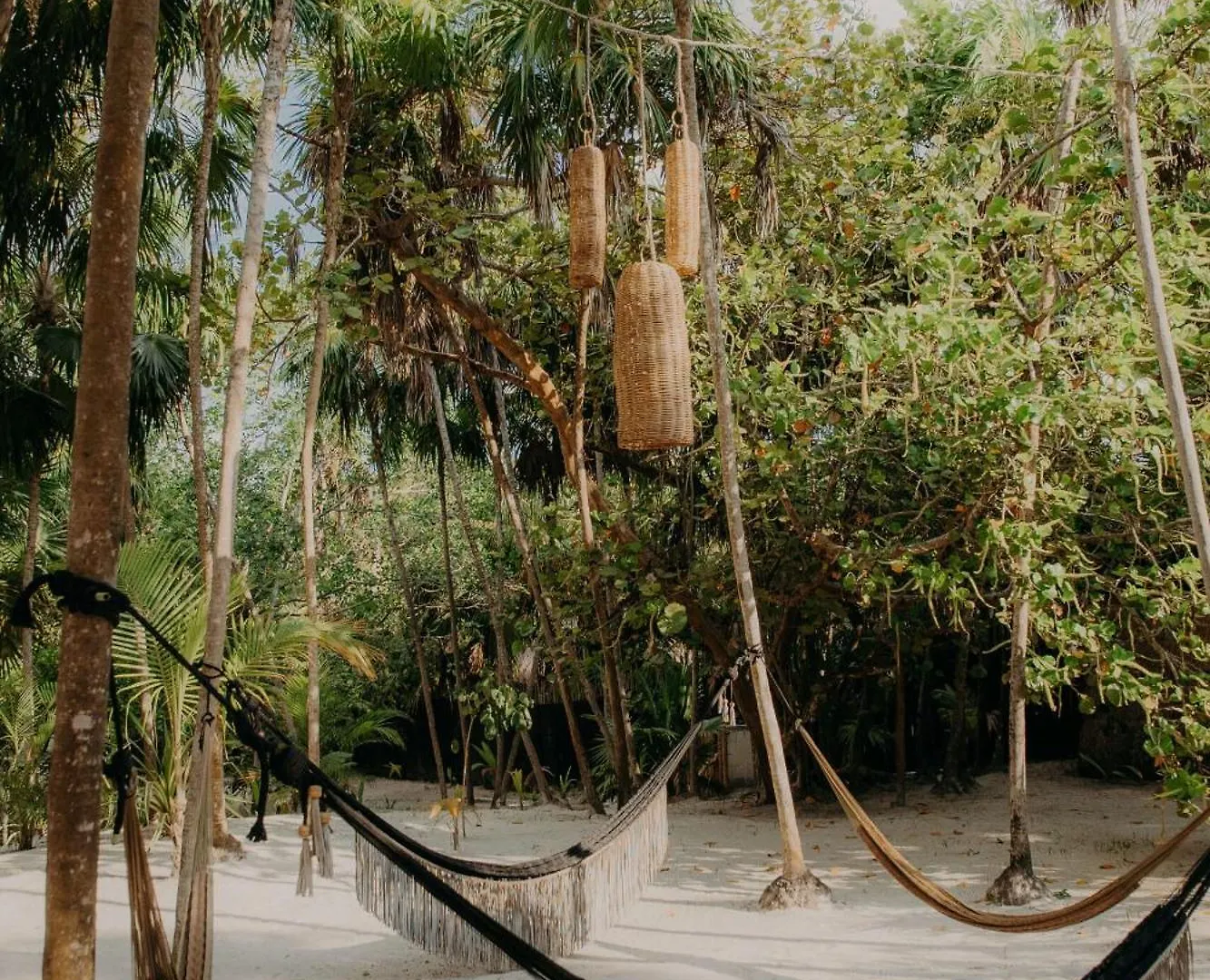 Luxury Villa With Private Pools, Terrace & Rooftop Terrace Tulum