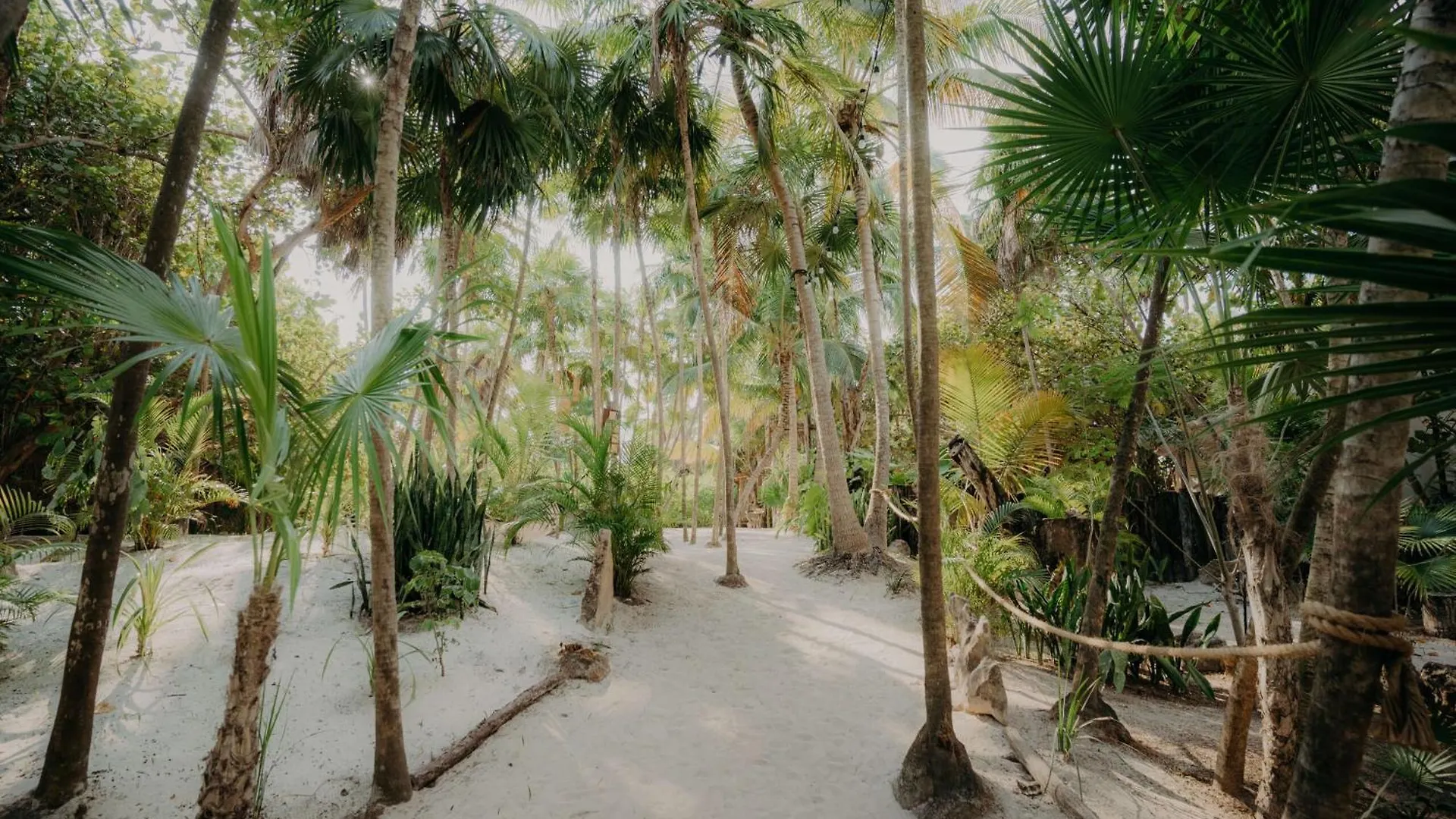Luxury Villa With Private Pools, Terrace & Rooftop Terrace Tulum